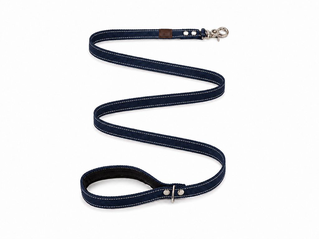 Correa perro nylon doble, alta resistencia, con mango acolchado - Azul